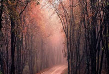 AG旗舰厅首页:陌上花开谈体育 · 昨天02:24 · 7041阅读.