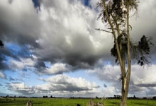 CBA:客场挑战广东男篮 高速男篮力争六连胜.