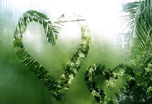 2023女足世界杯小組賽菲律賓0-2瑞士 巴赫曼點射皮於貝爾破門 瑞士奪開門紅!.