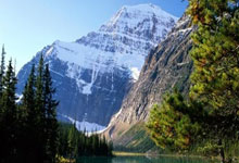 26屆狀元熱門700萬踩上楊百翰大學的舞臺 蒂格心裏嘀咕我也想來就算不能碰女人PP.